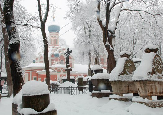 Донской монастырь зимой фото